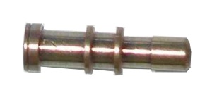 Photo Insert male